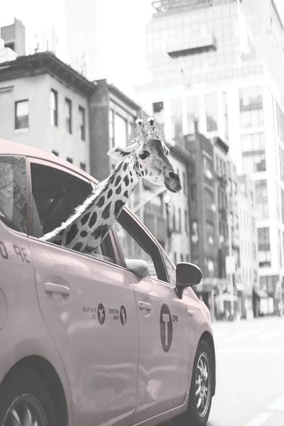 Giraffe In NYC by Leah Straatsma canvas print