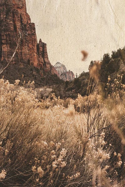 Mountain Range by Leah Straatsma canvas print