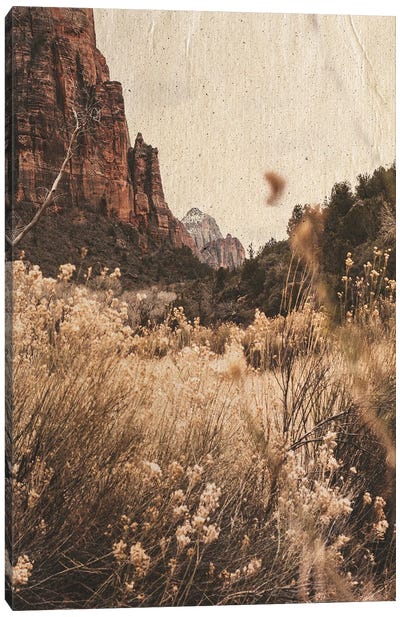 Mountain Range Canvas Art Print - Leah Straatsma