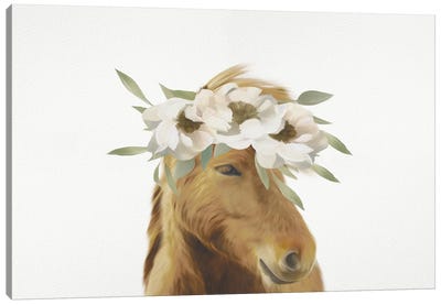 Floral Horse Canvas Art Print - Leah Straatsma