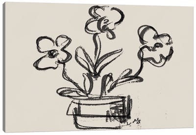 Sketched Peonies In Vase Canvas Art Print - Leah Straatsma