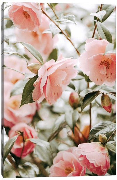 Moody Pink Florals Canvas Art Print - Leah Straatsma
