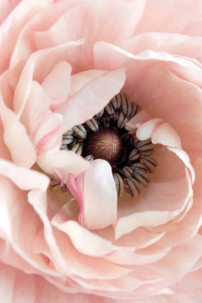 Pretty in Pink Floral by Leah Straatsma framed canvas print