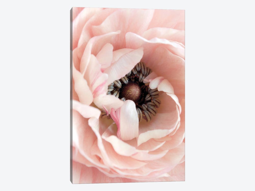 Pretty in Pink Floral by Leah Straatsma 1-piece Canvas Artwork