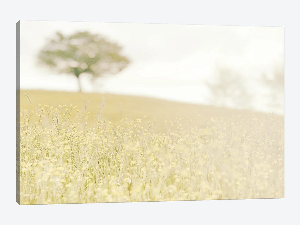 Buttercups by Leah Straatsma 1-piece Canvas Print