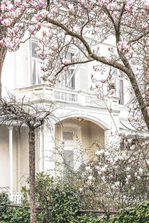 House With Magnolias