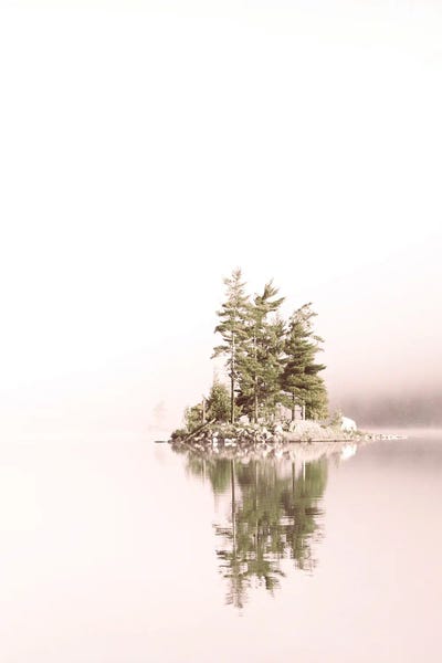 Pine Trees: Muskoka Morning by Leah Straatsma