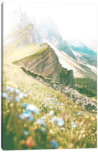 The Hills Are Alive With Wildflowers Canvas Art Print - Rocky Mountain Art Collection - Canvas Prints & Wall Art