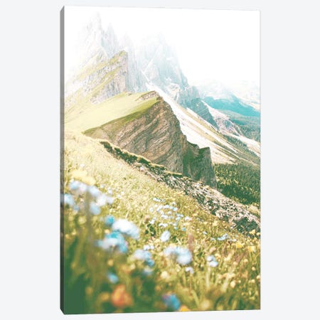 The Hills Are Alive With Wildflowers Canvas Print #LEH373} by Leah Straatsma Canvas Print