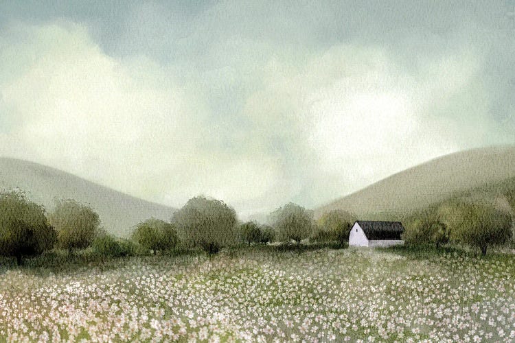 White Barn And Wildflowers