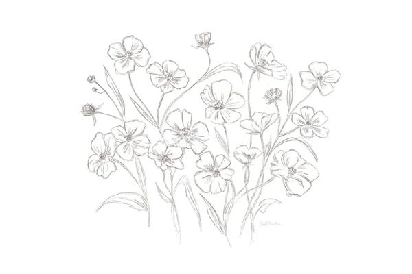 Vintage Wildflower Sketch