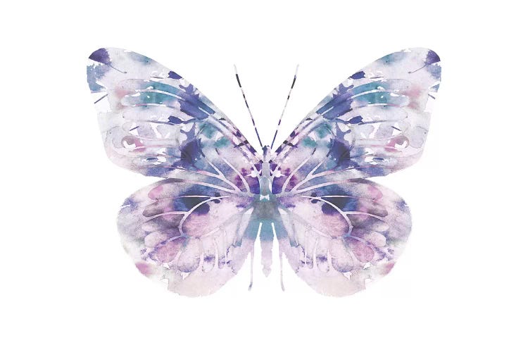 Butterfly I