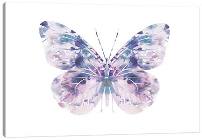 Butterfly I Canvas Art Print - Leah Straatsma