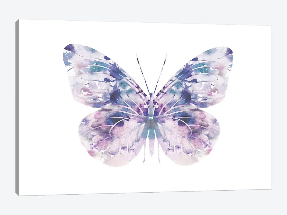 Butterfly I by Leah Straatsma 1-piece Canvas Print
