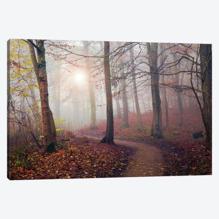 The Forest Path. Art Print by Leif Londal | iCanvas