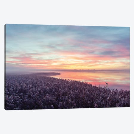 The Heron's Morning View Canvas Print #LEI21} by Leif Londal Canvas Print
