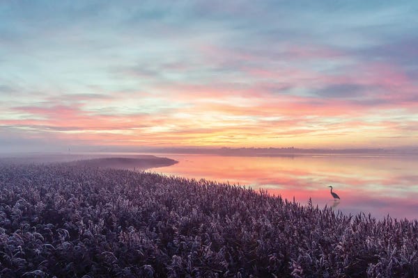 Leif Løndal: The Heron's Morning View by Leif Løndal