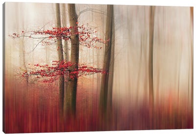 Red Leaves Canvas Art Print