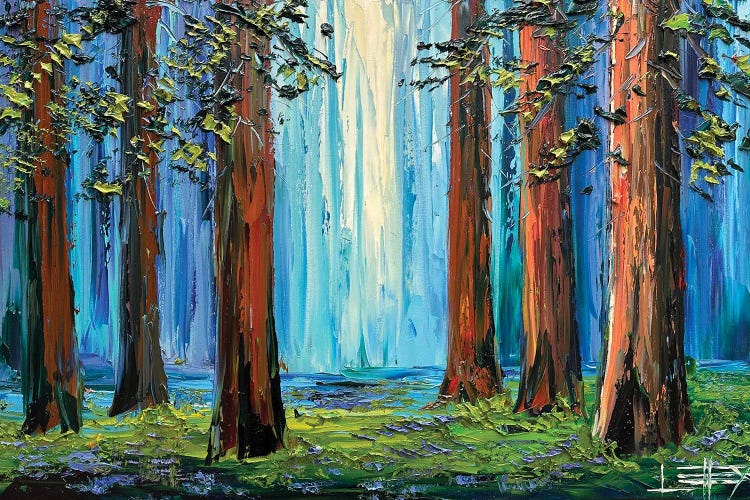 Cathedral Light by Lisa Elley canvas print