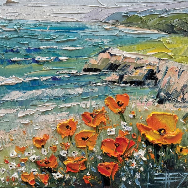 Coastal Gaze, California