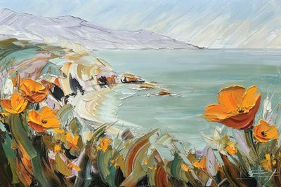Lisa Elley - Steelpix Metal Wall Art: Low Tide Light - Big Sur - California by Lisa Elley