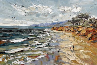 Lisa Elley - Steelpix Metal Wall Art: California Beach Walk by Lisa Elley