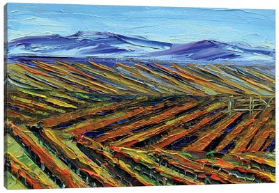 Napa I Canvas Art Print - Napa Valley