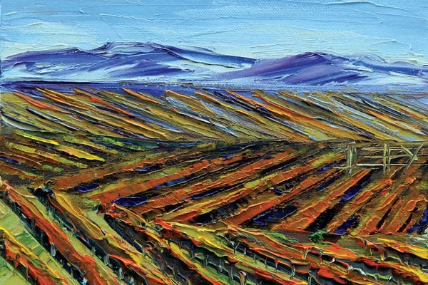 Napa Valley: Napa I by Lisa Elley