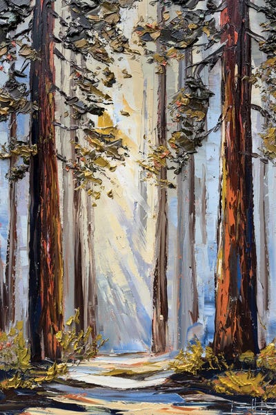 Canvas Print: Light Of The Redwood Forest by Lisa Elley - thumbnail