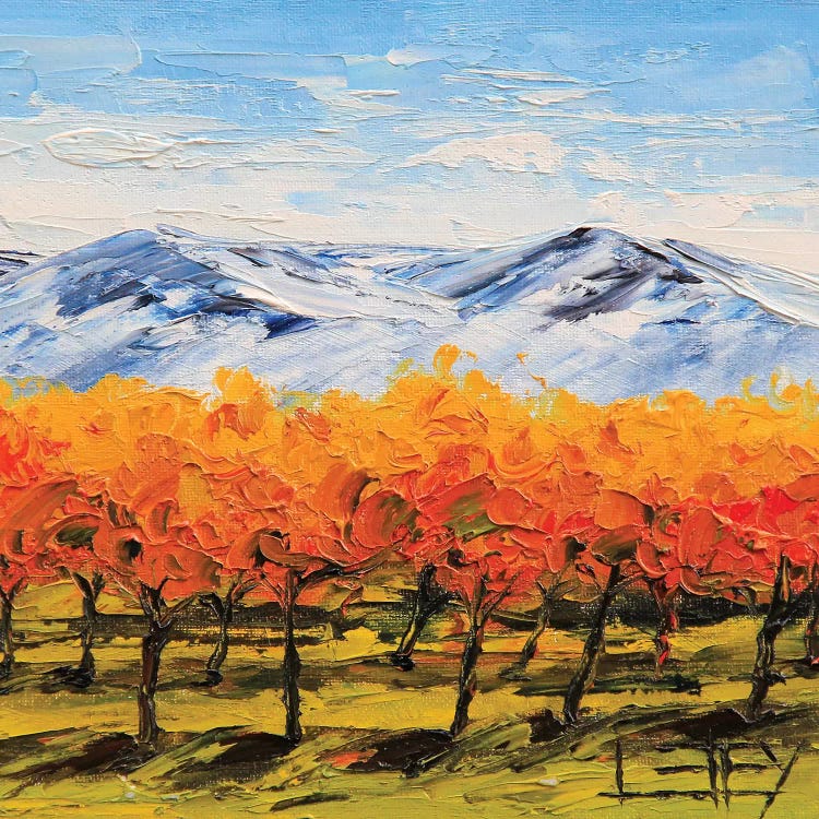 Napa III