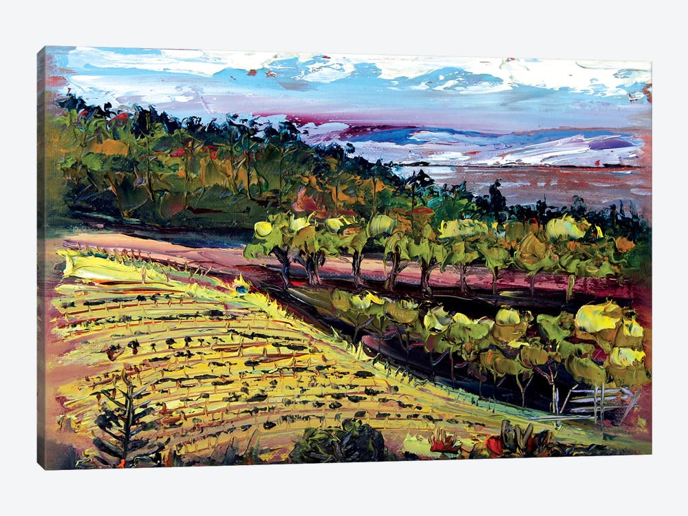 Bay Area Vineyard I by Lisa Elley 1-piece Art Print