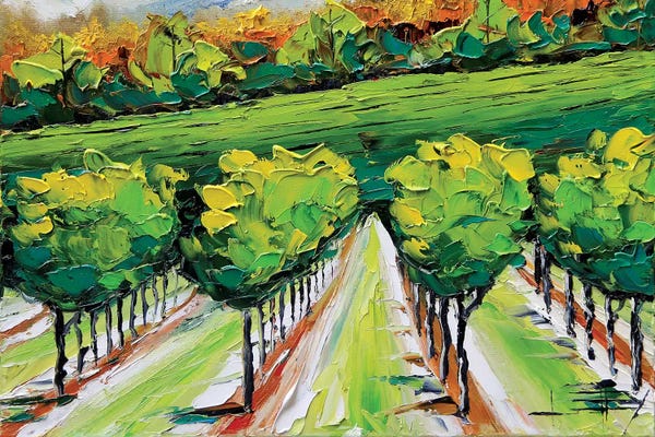 Napa Valley: Napa VI by Lisa Elley