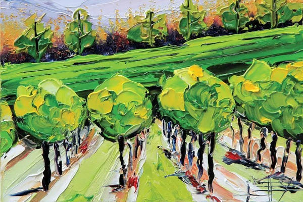 Napa Valley: Napa VII by Lisa Elley
