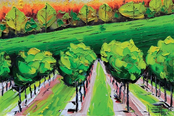 Napa Valley: Napa VIII by Lisa Elley