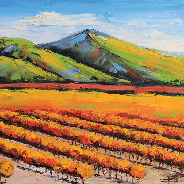 Napa Valley: Napa Vineyard by Lisa Elley