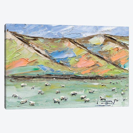 New Zealand Sheep Canvas Print #LEL118} by Lisa Elley Canvas Wall Art