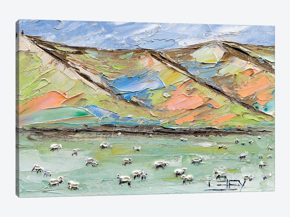 New Zealand Sheep by Lisa Elley 1-piece Canvas Print