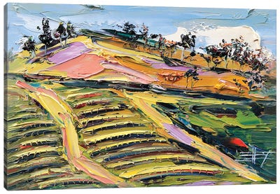 Bay Area Vineyard II Canvas Art Print - Pastel Impressionism