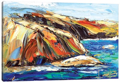Point Lobos  Canvas Art Print - Lisa Elley