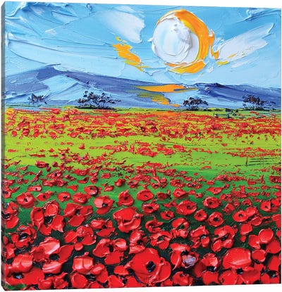 Poppies I Canvas Art Print - Lisa Elley