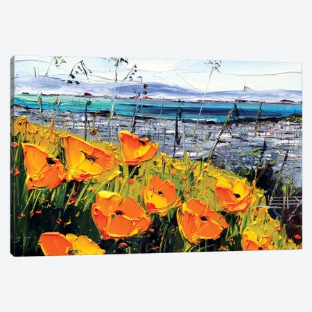 Poppies III Canvas Print #LEL132} by Lisa Elley Canvas Artwork