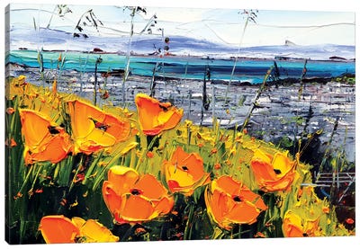 Poppies III Canvas Art Print - Lisa Elley