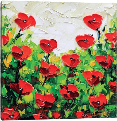 Poppy I Canvas Art Print - Lisa Elley