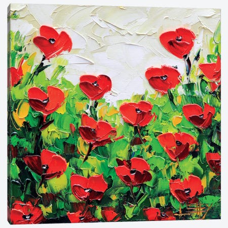 Poppy I Canvas Print #LEL134} by Lisa Elley Canvas Print