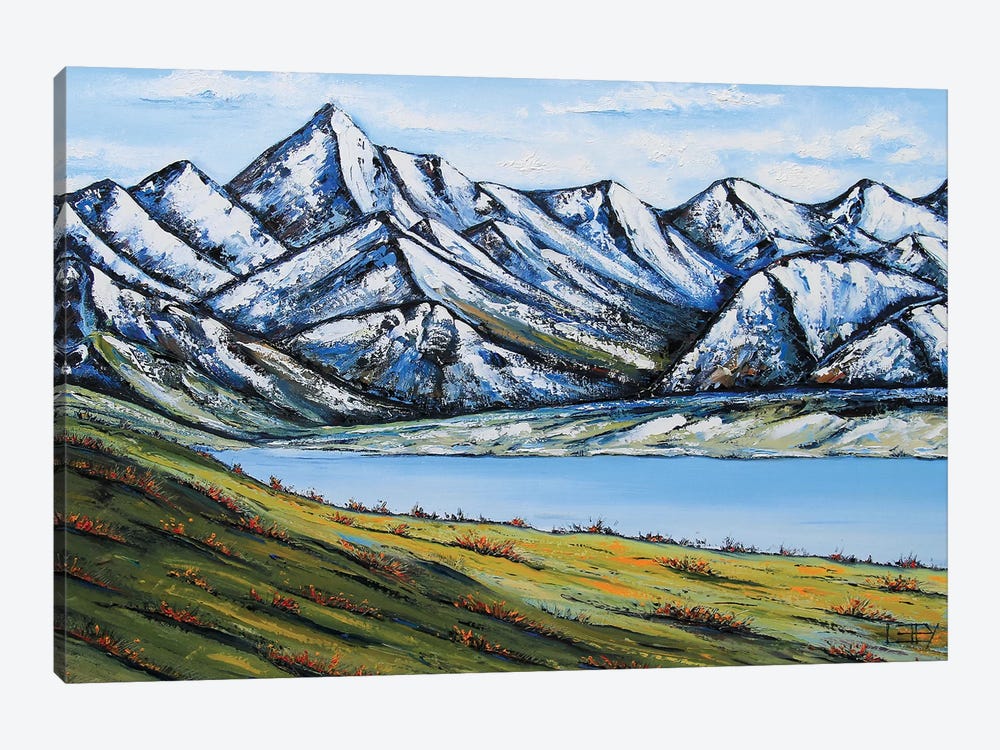 Remarkables by Lisa Elley 1-piece Canvas Art