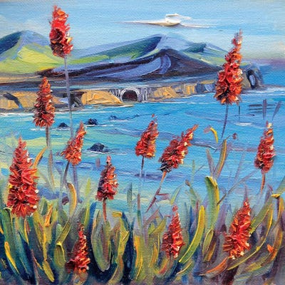 Rocky Point by Lisa Elley canvas print