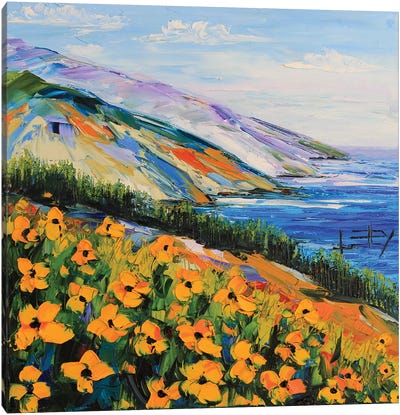 South To Big Sur Canvas Art Print - Landscapes in Bloom