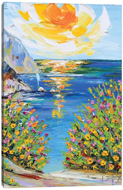 Big Sur II Canvas Art Print - Lisa Elley