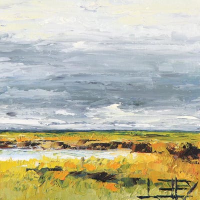 Stormy Horizon by Lisa Elley canvas print
