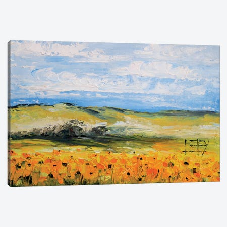 Sunflowers  Canvas Print #LEL152} by Lisa Elley Canvas Wall Art